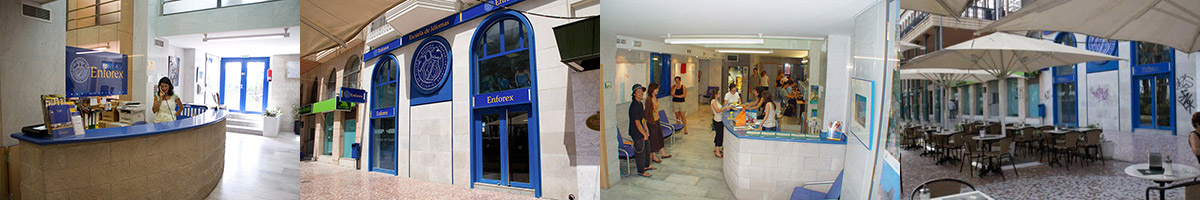 Enforex アリカンテの様子