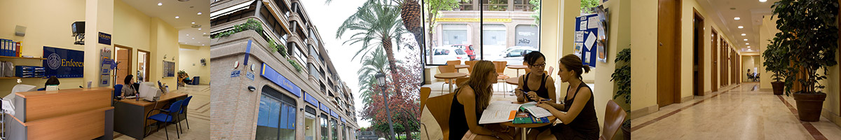 Enforex バレンシアの様子