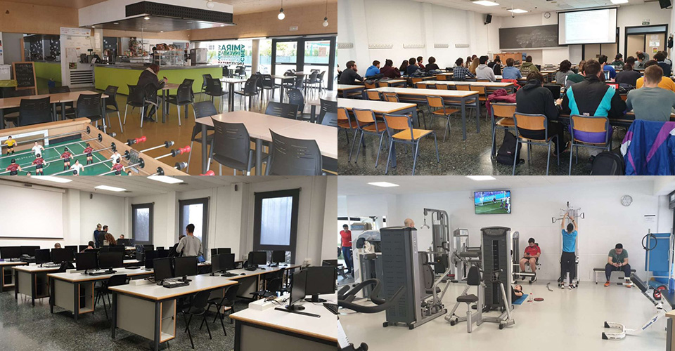 TARONJA バレンシアの学生