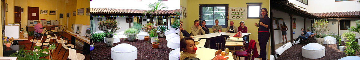 don Quijote テネリフェの様子