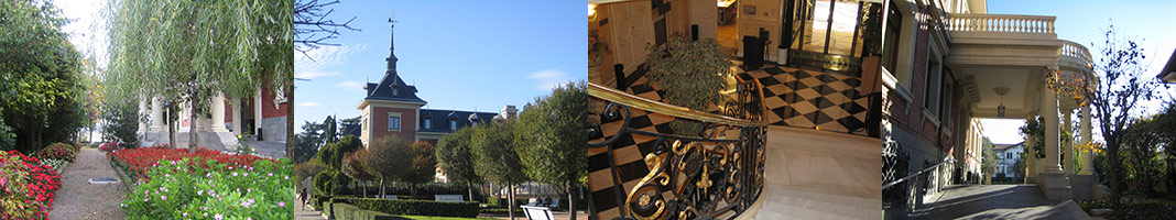 PLSI パンプローナの様子