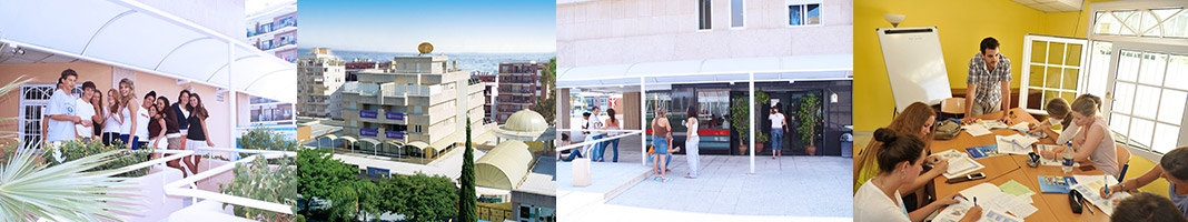 Enforex マルベーリャの様子