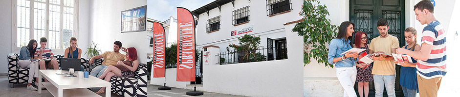 Sprachcaffe Languages Plus マラガの様子