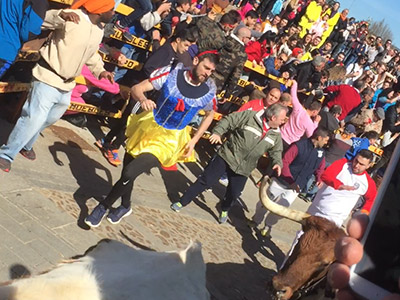 シウダードロドリゴという所で行われた牛追い祭りの写真