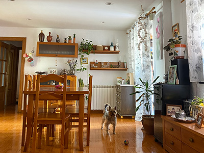 最初に滞在した寮の個人部屋。お世話になった家のリビング。マザーはいい人で留学生活で一番の糧になりました。