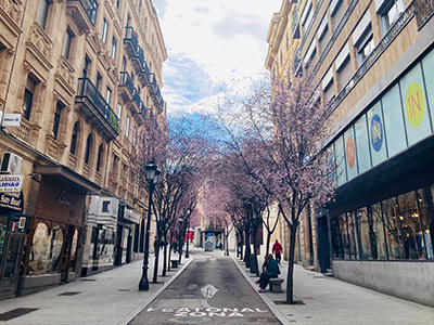 春の大通り